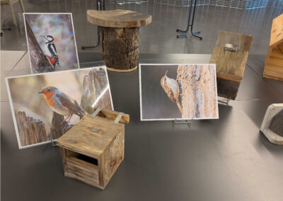 Nichoirs pour pic épeiche, rouge-gorge, grimpereau, sittelle et hirondelle